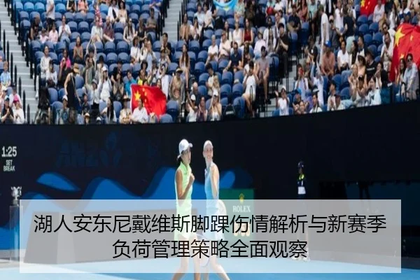 湖人安东尼戴维斯脚踝伤情解析与新赛季负荷管理策略全面观察（c7c7）